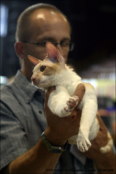 IMG_9308