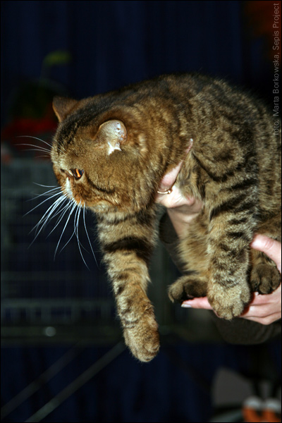 IMG_0251.jpg - 2. IC TOUCH OF NIGHT  | EXO n 24 | 1,0 | Ex 1, CAGCIB, NOM BIS / Ex 1, CAGCIB