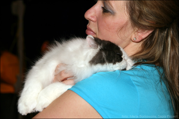 IMG_0285.jpg - 16. LATOYBELL CATPRESTIGE*PL  | PER ns 02  | 1,0 | Ex 1, CAC / Ex 1, CAC