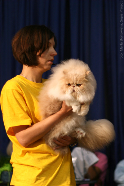 IMG_0681.jpg - 14. Janosik Dream Eyes *PL | PER e 03 |1,0 | Ex 1, CAC, NOM BIS