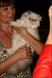 IMG_0208