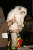 IMG_0232