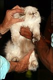 IMG_0238