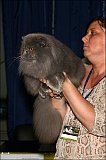 IMG_0246