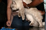 IMG_0264