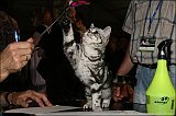 IMG_0274
