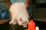 IMG_0387