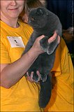 IMG_0400