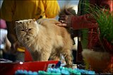IMG_0525