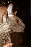 IMG_0536