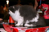 IMG_0552