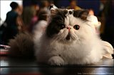 IMG_0562