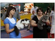 IMG_7352