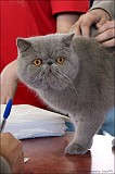 IMG_9396