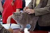 IMG_9397