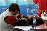 IMG_9406