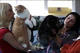 IMG_9413