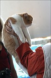 IMG_9419