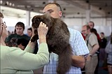 IMG_9439