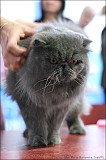 IMG_9456