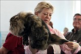 IMG_9483