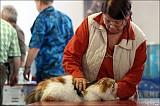 IMG_9581