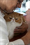 IMG_9650