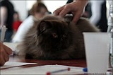 IMG_9662