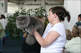 IMG_9666