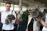 IMG_9669