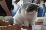 IMG_9688