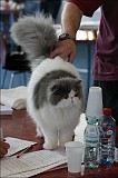 IMG_9692