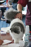 IMG_9694