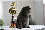 IMG_9702