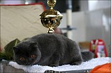 IMG_9704
