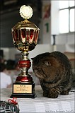 IMG_9711