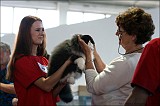 IMG_9725