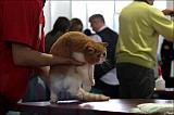 IMG_9775