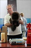 IMG_9846