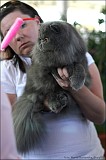 IMG_9495