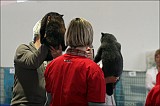 IMG_9612
