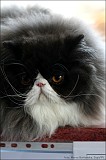 IMG_9656