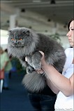 IMG_9667