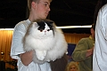 IMG_0290f