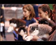 IMG_9198