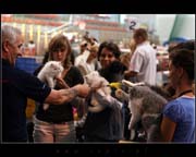 IMG_9347