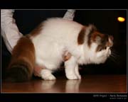 IMG_9685