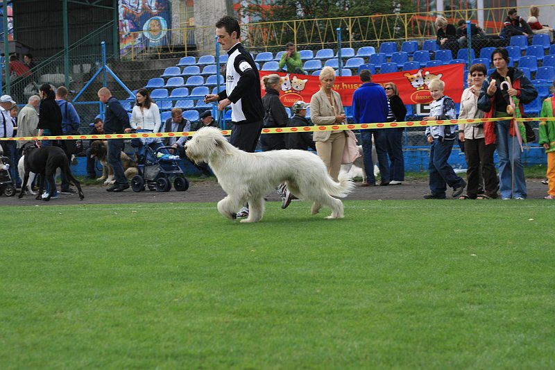 IMG_1687.JPG