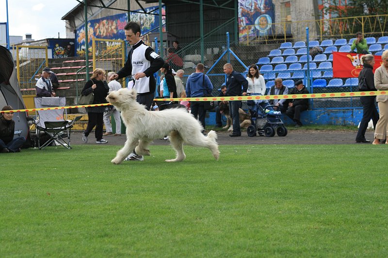 IMG_1688.JPG