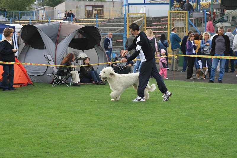 IMG_1699.JPG